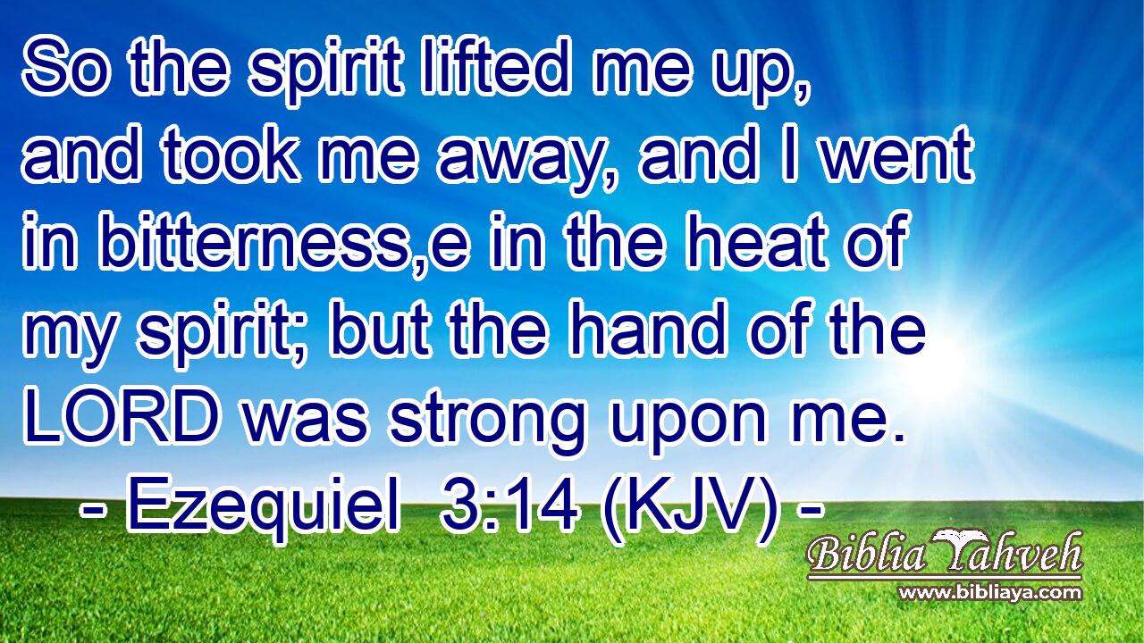 So the spirit lifted me up, and took me away, and I went in bitterness,e in the heat of my spirit; but the hand of the LORD was strong upon me.