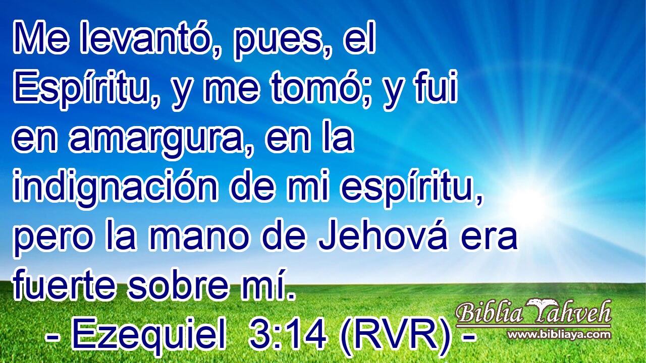 Me levantó, pues, el Espíritu, y me tomó; y fui en amargura, en la indignación de mi espíritu, pero la mano de Jehová era fuerte sobre mí.