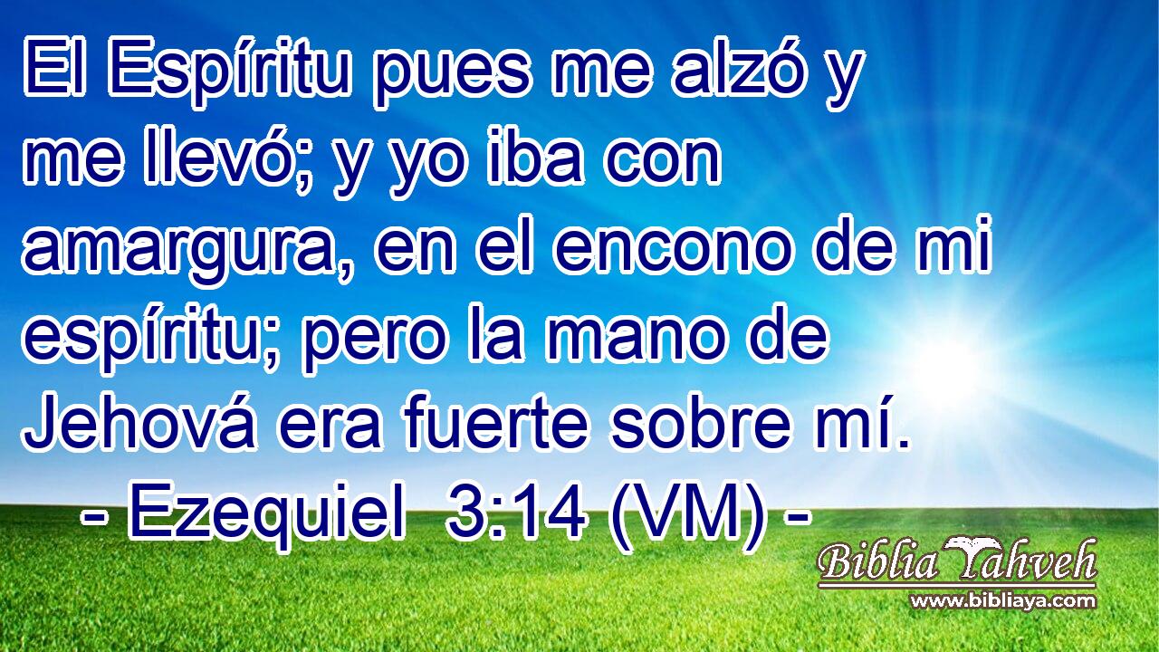  El Espíritu pues me alzó y me llevó; y yo iba con amargura, en el encono de mi espíritu; pero la mano de Jehová era fuerte sobre mí. 