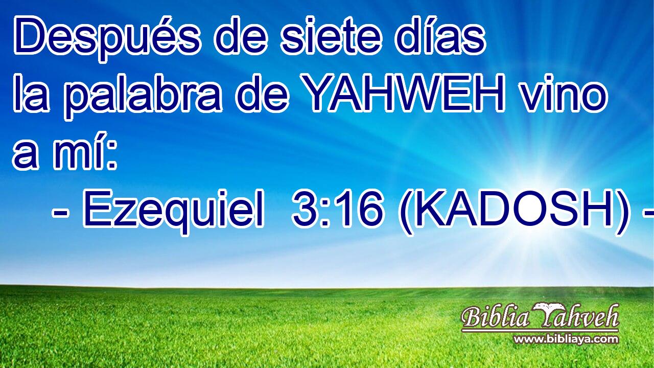 Después de siete días la palabra de YAHWEH vino a mí: 
