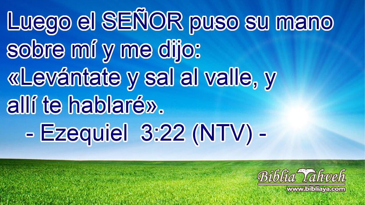 Luego el SEÑOR puso su mano sobre mí y me dijo: «Levántate y sal al valle, y allí te hablaré».