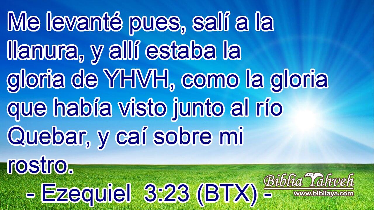 Me levanté pues, salí a la llanura, y allí estaba la gloria de YHVH, como la gloria que había visto junto al río Quebar, y caí sobre mi rostro.