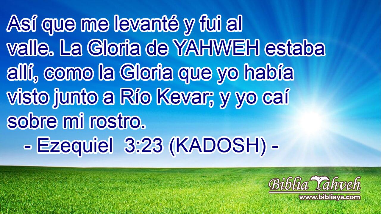  Así que me levanté y fui al valle. La Gloria de YAHWEH estaba allí, como la Gloria que yo había visto junto a Río Kevar; y yo caí sobre mi rostro. 