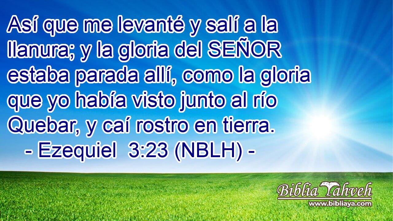  Así que me levanté y salí a la llanura; y la gloria del SEÑOR estaba parada allí, como la gloria que yo había visto junto al río Quebar, y caí rostro en tierra. 
