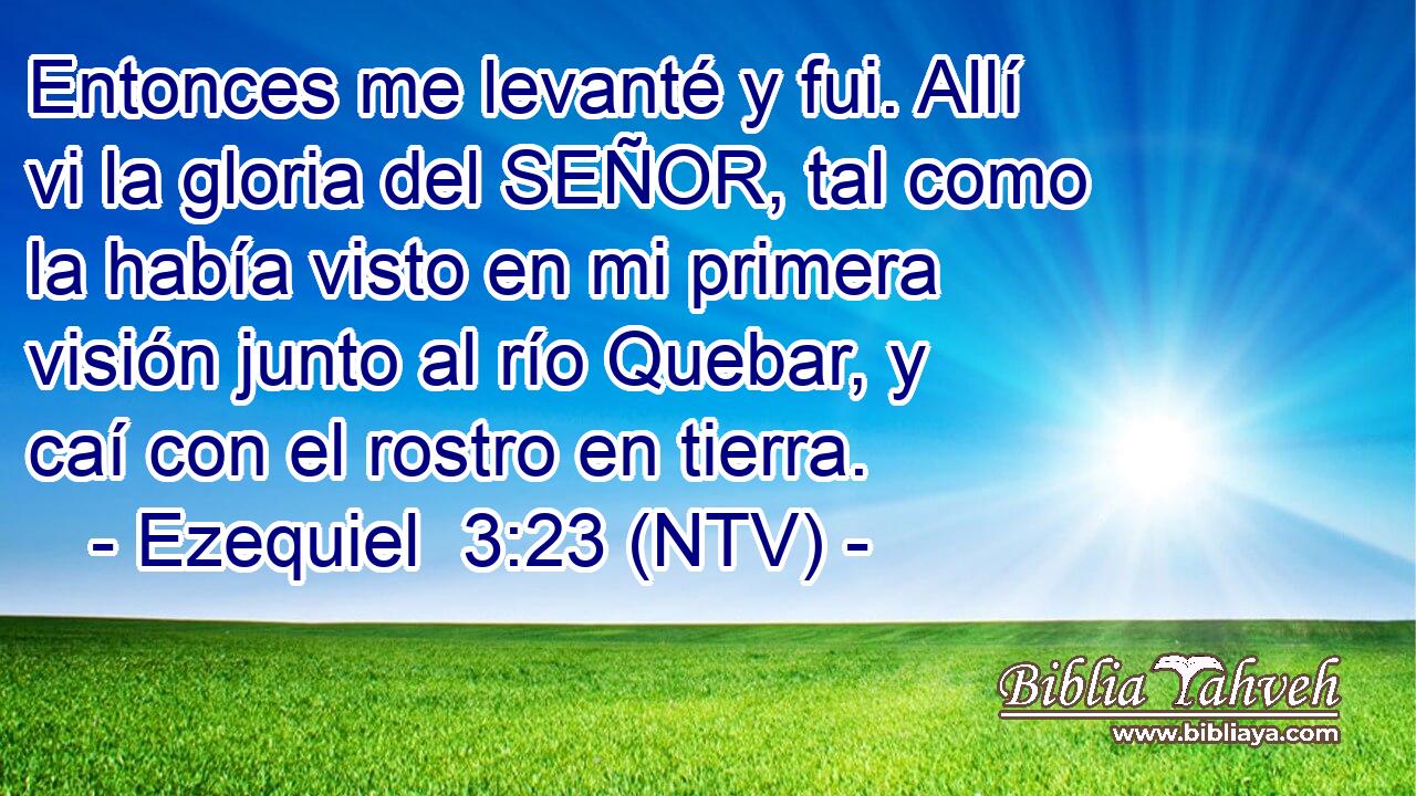 Entonces me levanté y fui. Allí vi la gloria del SEÑOR, tal como la había visto en mi primera visión junto al río Quebar, y caí con el rostro en tierra.