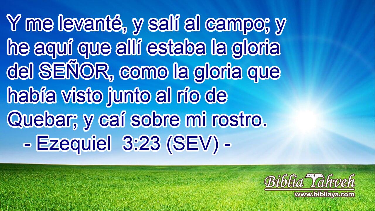 Y me levanté, y salí al campo; y he aquí que allí estaba la gloria del SEÑOR, como la gloria que había visto junto al río de Quebar; y caí sobre mi rostro.