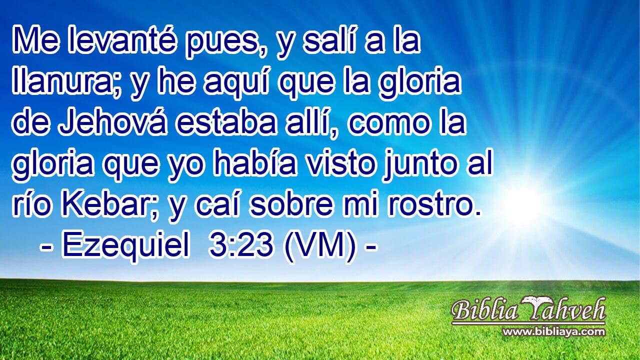  Me levanté pues, y salí a la llanura; y he aquí que la gloria de Jehová estaba allí, como la gloria que yo había visto junto al río Kebar; y caí sobre mi rostro. 