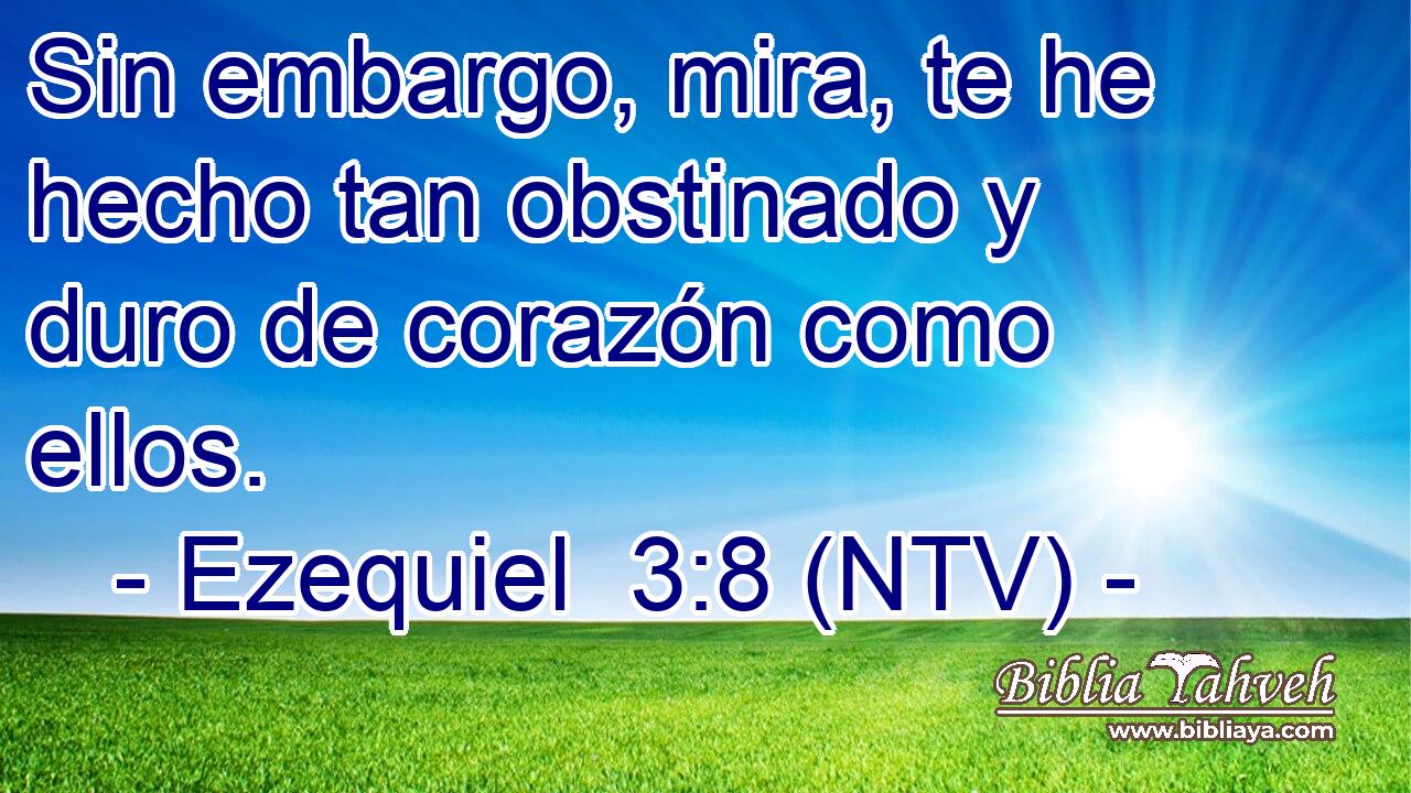 Sin embargo, mira, te he hecho tan obstinado y duro de corazón como ellos.