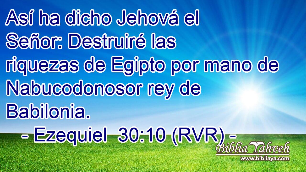 Así ha dicho Jehová el Señor: Destruiré las riquezas de Egipto por mano de Nabucodonosor rey de Babilonia.