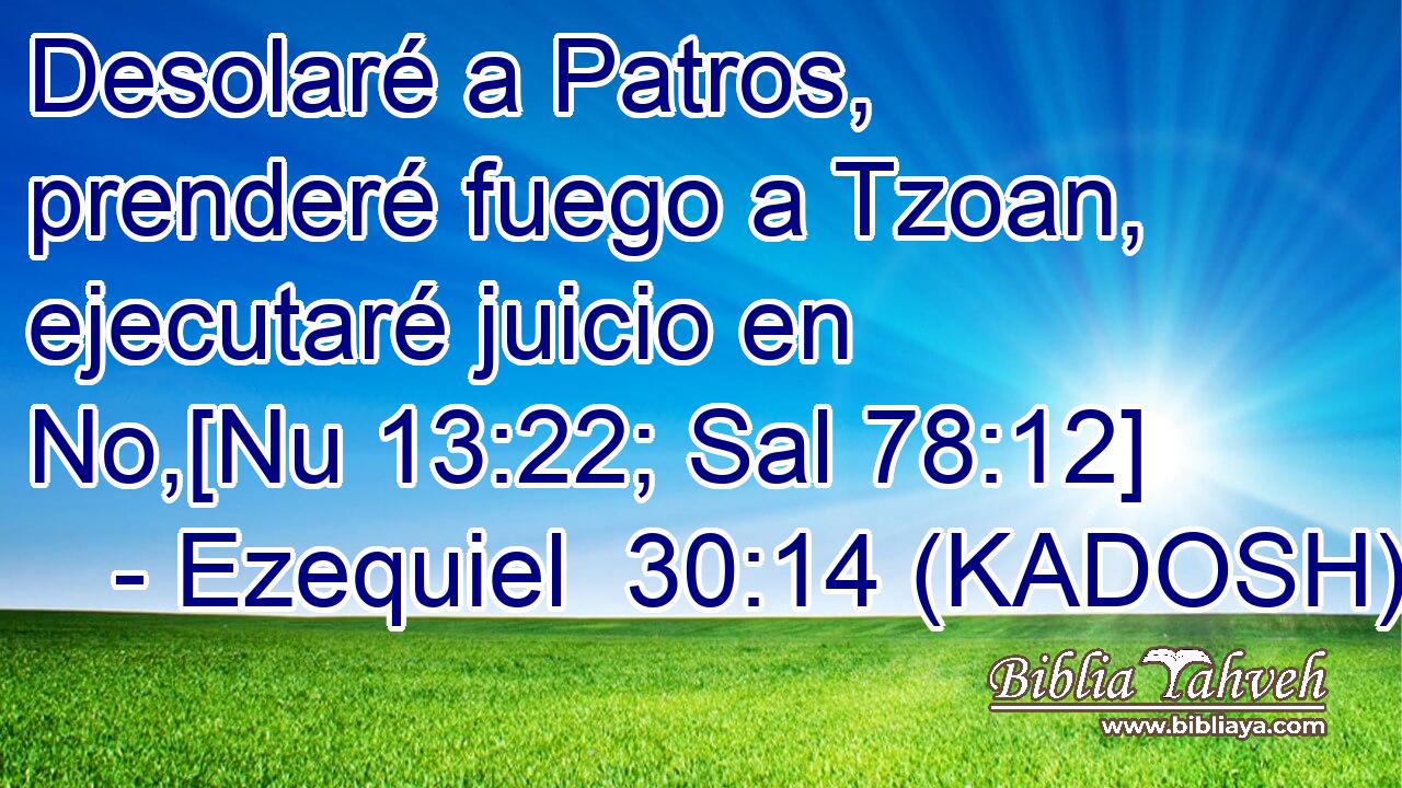  Desolaré a Patros, prenderé fuego a Tzoan, ejecutaré juicio en No,[Nu 13:22; Sal 78:12] 