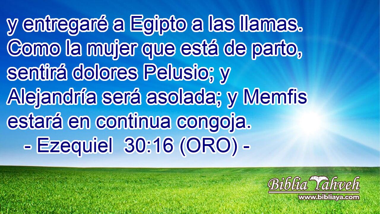  y entregaré a Egipto a las llamas. Como la mujer que está de parto, sentirá dolores Pelusio; y Alejandría será asolada; y Memfis estará en continua congoja. 