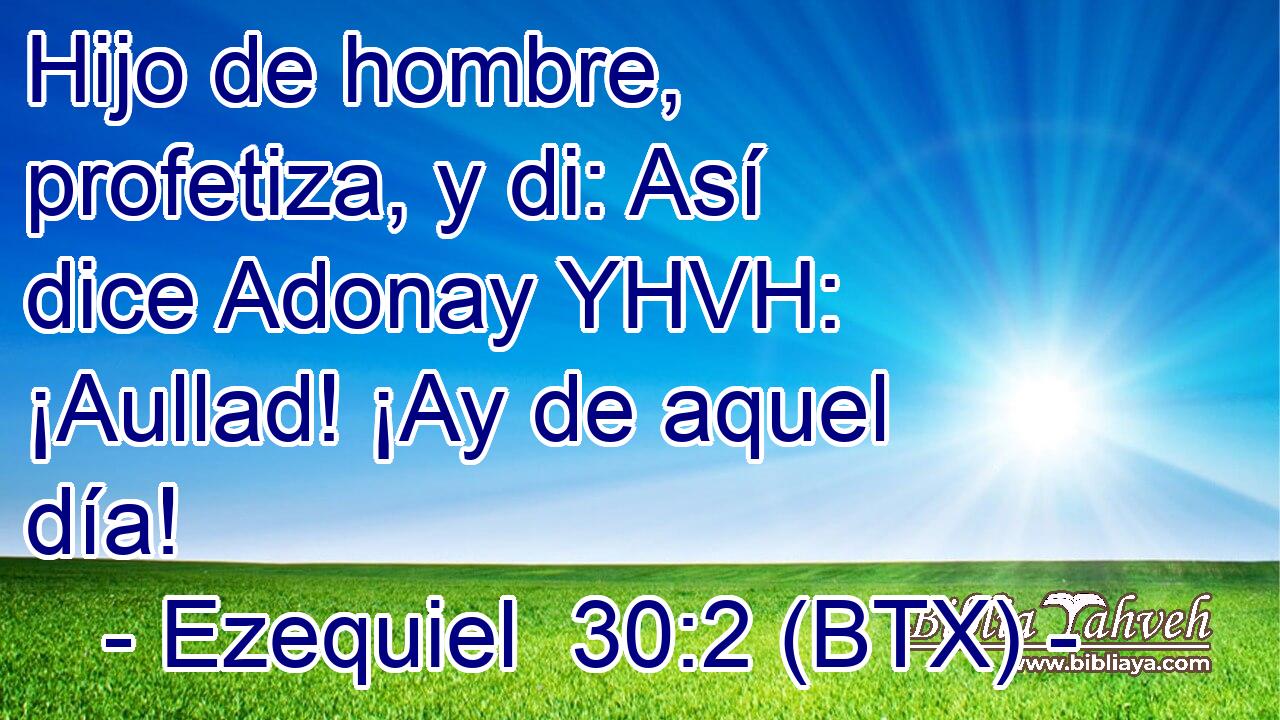 Hijo de hombre, profetiza, y di: Así dice Adonay YHVH: ¡Aullad! ¡Ay de aquel día!