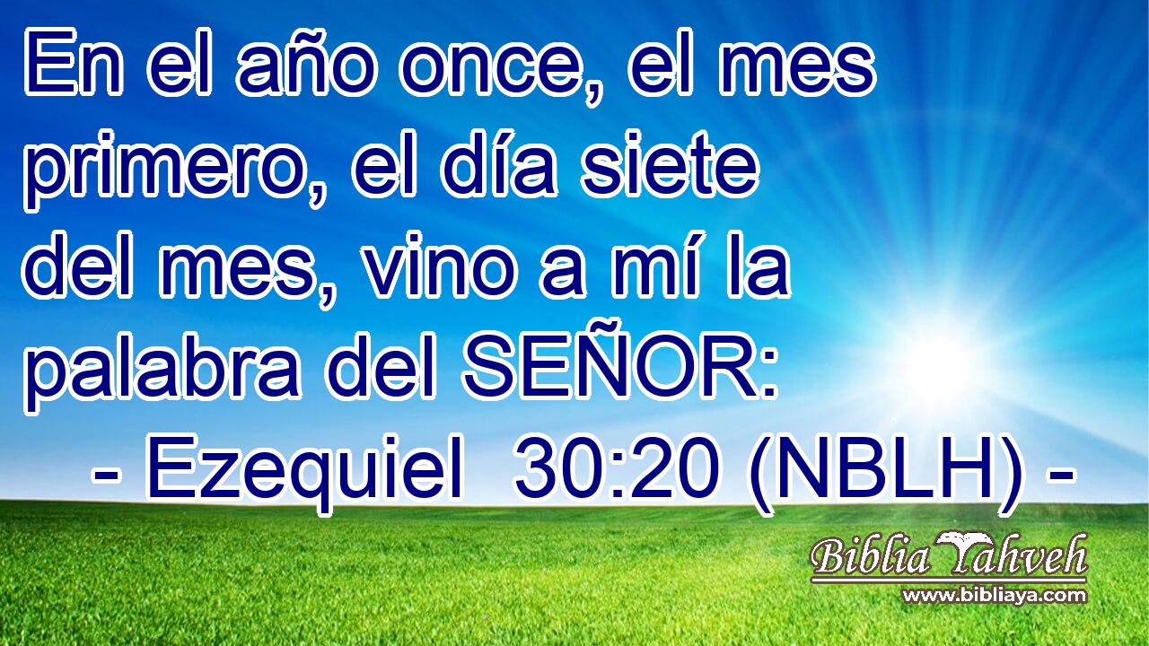  En el año once, el mes primero, el día siete del mes, vino a mí la palabra del SEÑOR: 