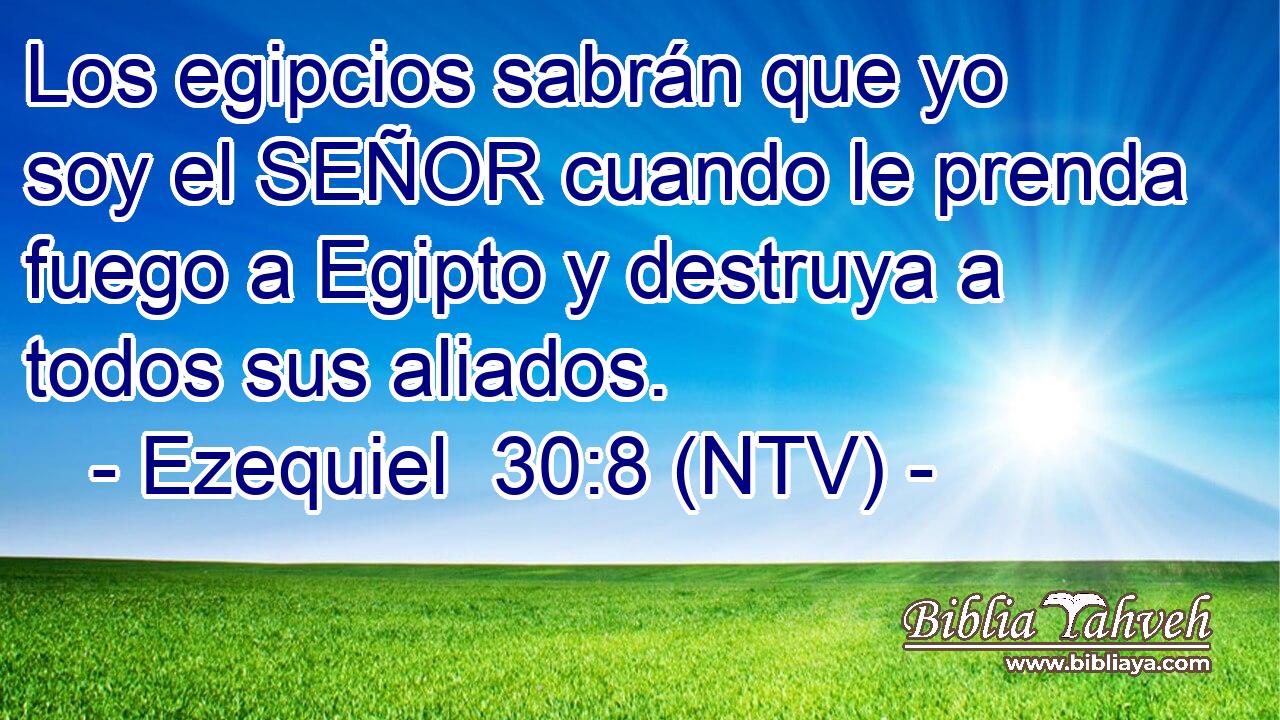 Los egipcios sabrán que yo soy el SEÑOR cuando le prenda fuego a Egipto y destruya a todos sus aliados.