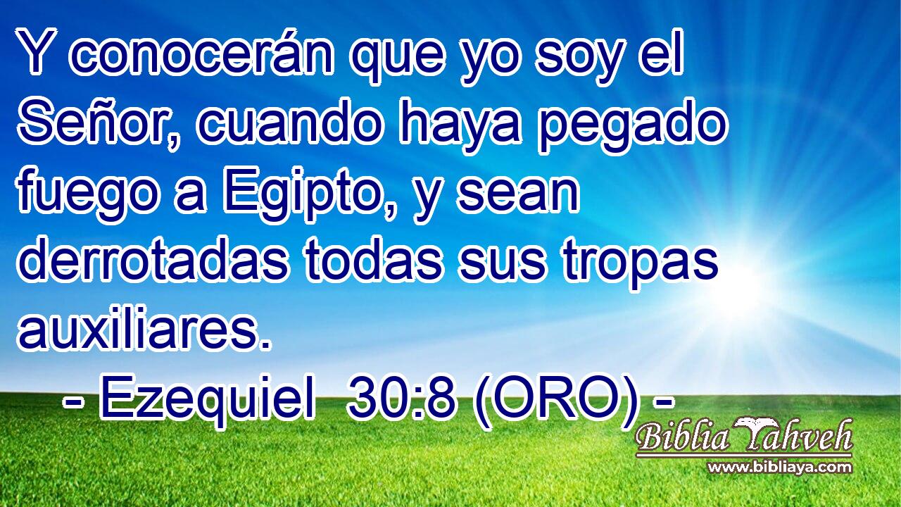  Y conocerán que yo soy el Señor, cuando haya pegado fuego a Egipto, y sean derrotadas todas sus tropas auxiliares. 