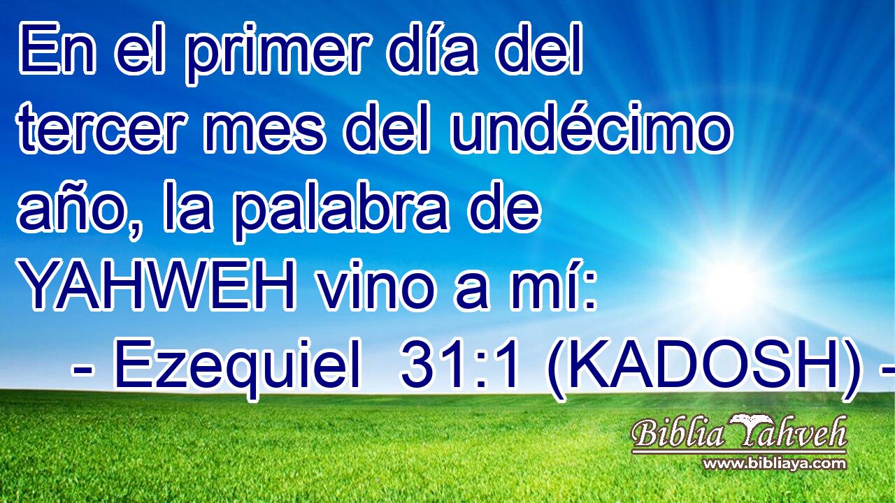  En el primer día del tercer mes del undécimo año, la palabra de YAHWEH vino a mí: 