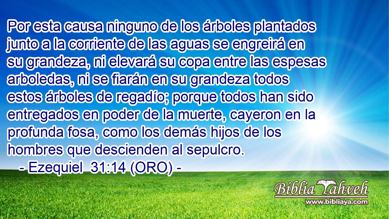 Por esta causa ninguno de los árboles plantados junto a la corriente de las aguas se engreirá en su grandeza, ni elevará su copa entre las espesas arboledas, ni se fiarán en su grandeza todos estos árboles de regadío; porque todos han sido entregados en poder de la muerte, cayeron en la profunda fosa, como los demás hijos de los hombres que descienden al sepulcro. 