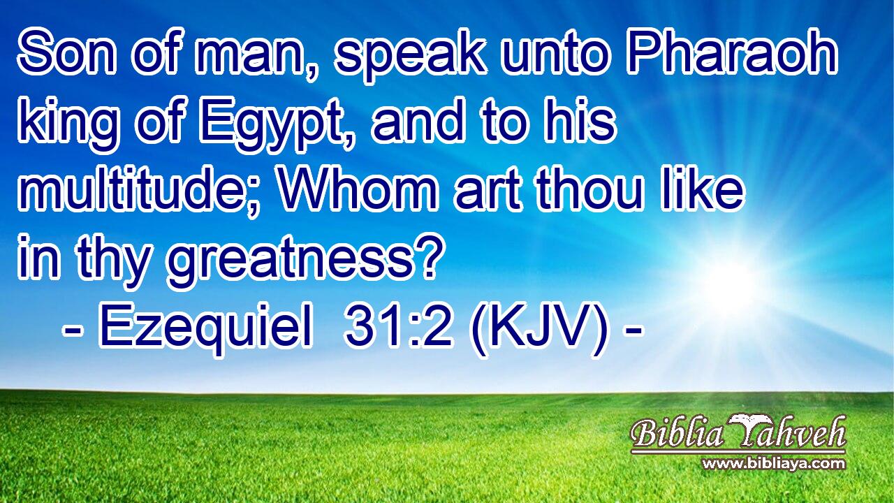 Son of man, speak unto Pharaoh king of Egypt, and to his multitude; Whom art thou like in thy greatness?