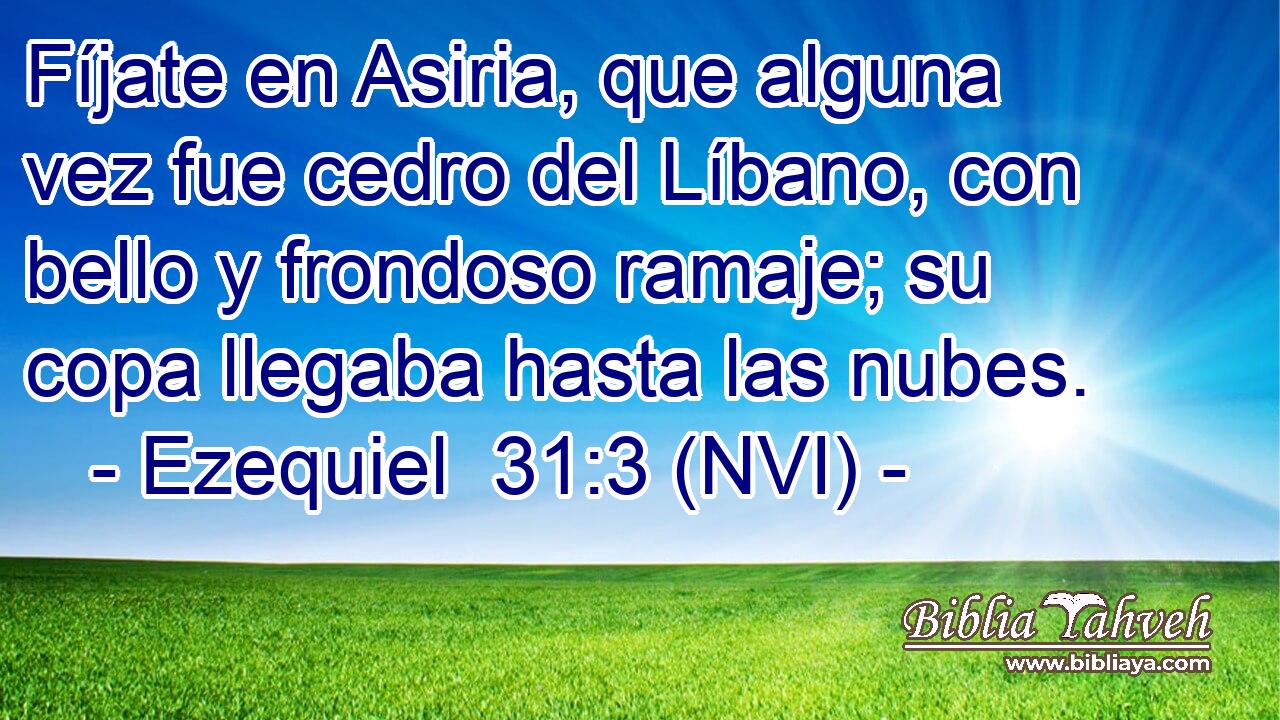  Fíjate en Asiria, que alguna vez fue cedro del Líbano, con bello y frondoso ramaje; su copa llegaba hasta las nubes. 