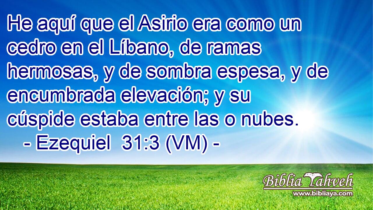  He aquí que el Asirio era como un cedro en el Líbano, de ramas hermosas, y de sombra espesa, y de encumbrada elevación; y su cúspide estaba entre las o nubes. 