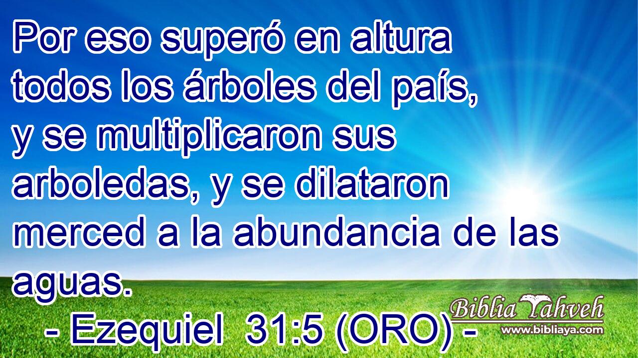  Por eso superó en altura todos los árboles del país, y se multiplicaron sus arboledas, y se dilataron merced a la abundancia de las aguas. 