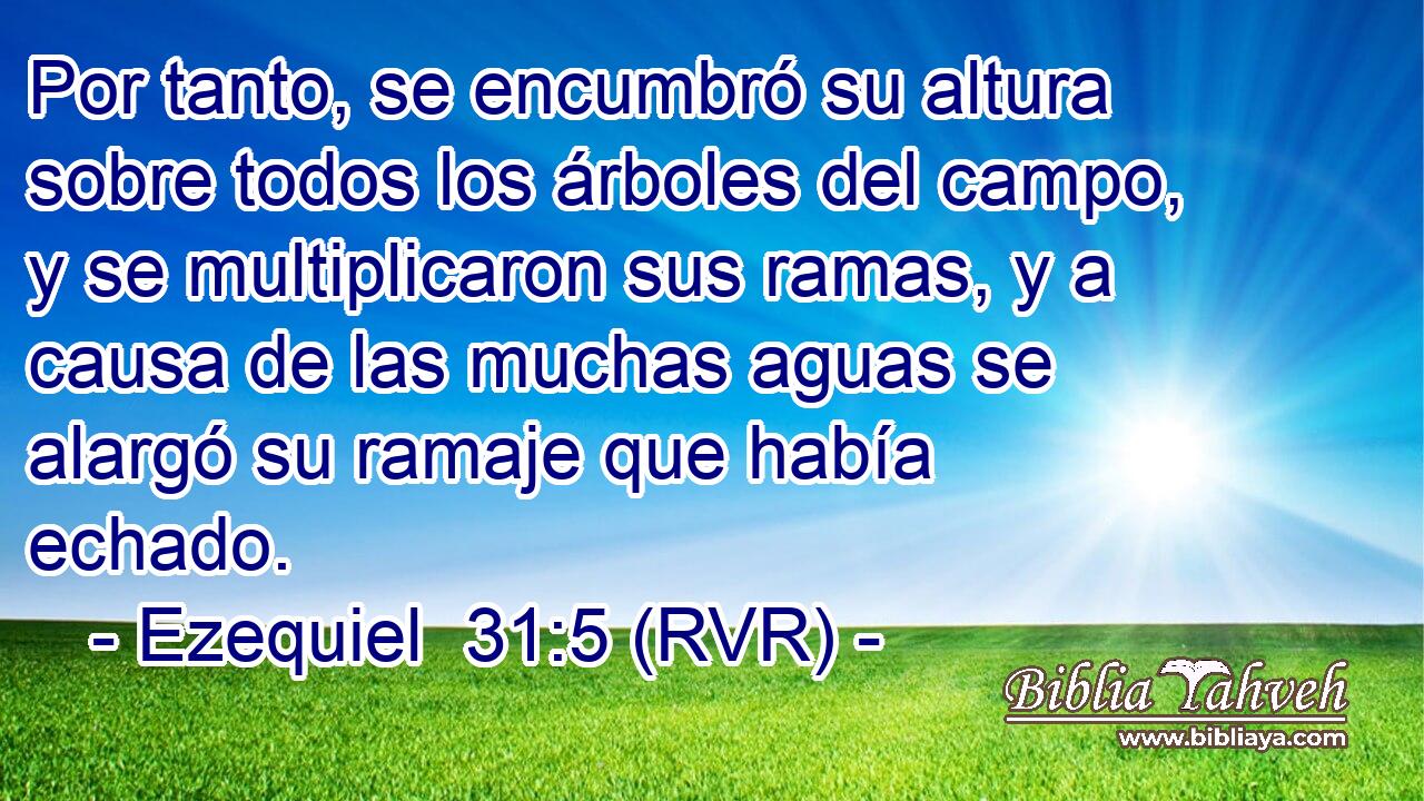Por tanto, se encumbró su altura sobre todos los árboles del campo, y se multiplicaron sus ramas, y a causa de las muchas aguas se alargó su ramaje que había echado.