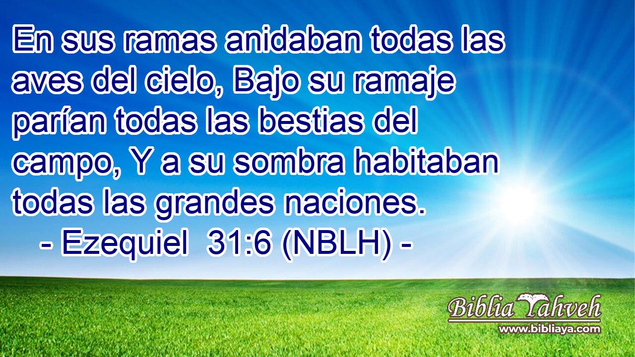  En sus ramas anidaban todas las aves del cielo, Bajo su ramaje parían todas las bestias del campo, Y a su sombra habitaban todas las grandes naciones. 