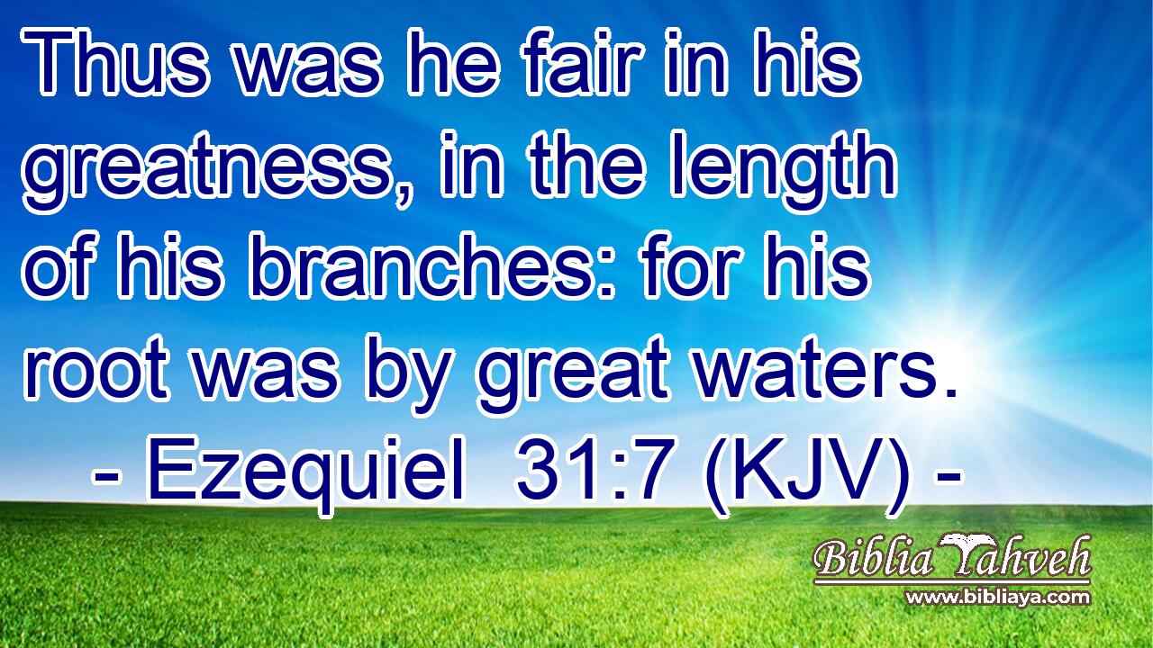 Thus was he fair in his greatness, in the length of his branches: for his root was by great waters.