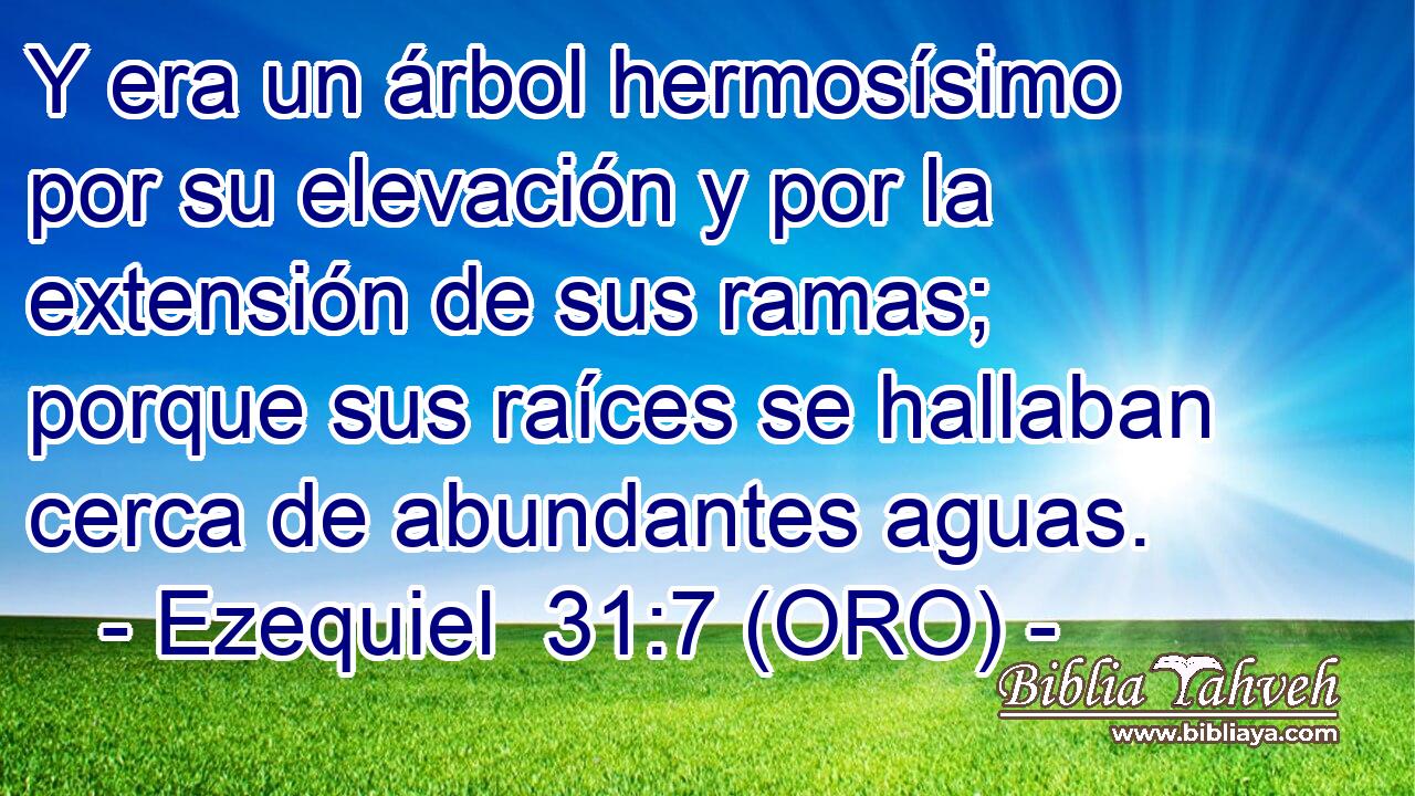  Y era un árbol hermosísimo por su elevación y por la extensión de sus ramas; porque sus raíces se hallaban cerca de abundantes aguas. 