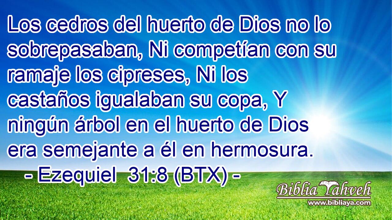 Los cedros del huerto de Dios no lo sobrepasaban, Ni competían con su ramaje los cipreses, Ni los castaños igualaban su copa, Y ningún árbol en el huerto de Dios era semejante a él en hermosura.