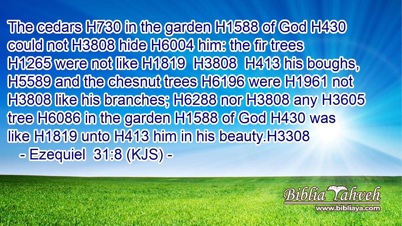 The cedars H730 in the garden H1588 of God H430 could not H3808 hide H6004 him: the fir trees H1265 were not like H1819  H3808  H413 his boughs, H5589 and the chesnut trees H6196 were H1961 not H3808 like his branches; H6288 nor H3808 any H3605 tree H6086 in the garden H1588 of God H430 was like H1819 unto H413 him in his beauty.H3308