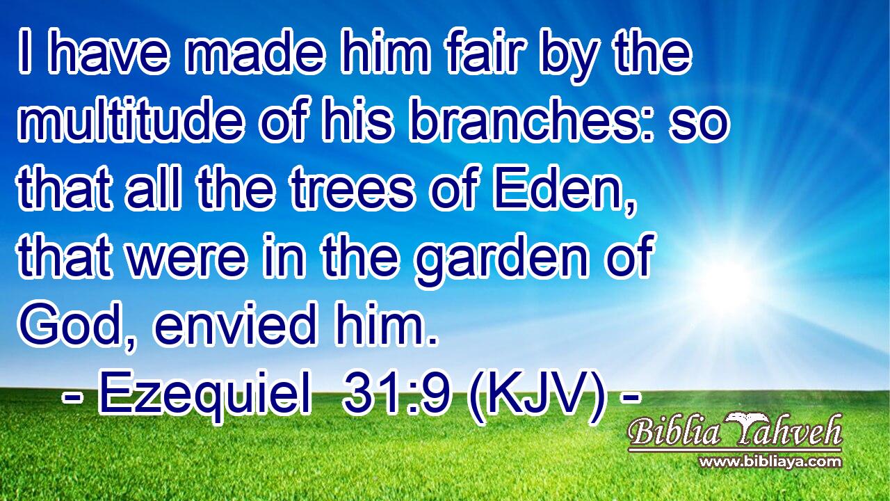 I have made him fair by the multitude of his branches: so that all the trees of Eden, that were in the garden of God, envied him.