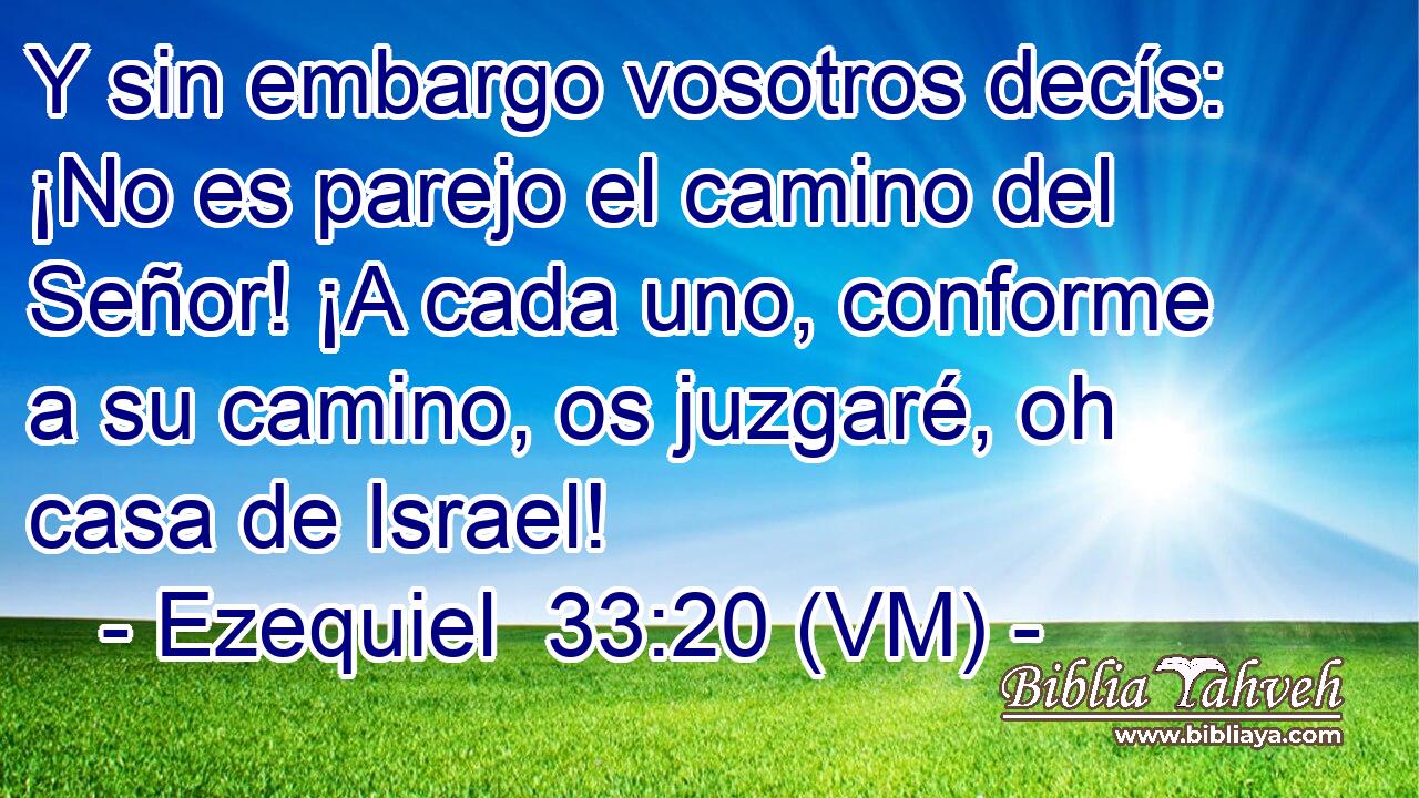  Y sin embargo vosotros decís: ¡No es parejo el camino del Señor! ¡A cada uno, conforme a su camino, os juzgaré, oh casa de Israel! 