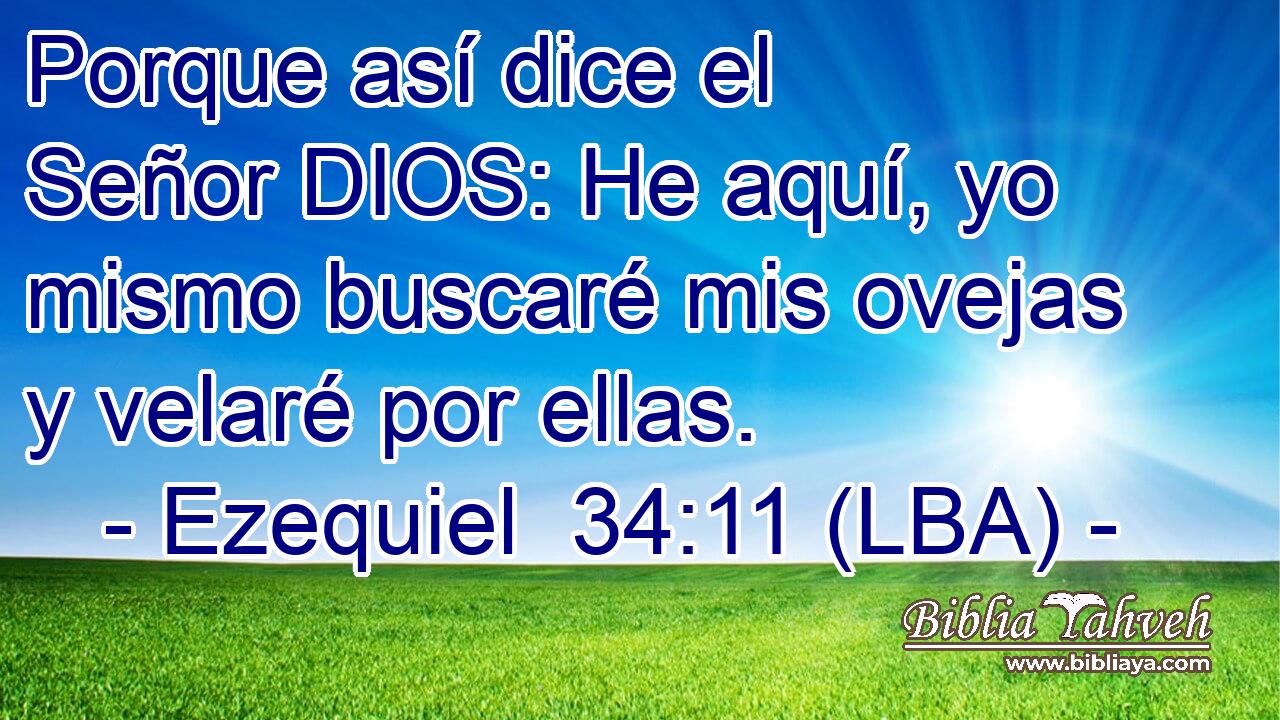 Porque así dice el Señor DIOS: He aquí, yo mismo buscaré mis ovejas y velaré por ellas.
