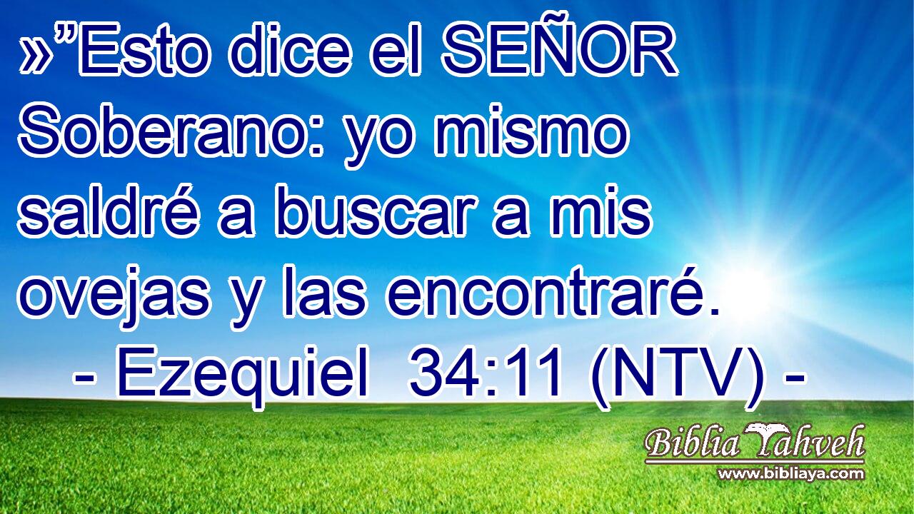 »”Esto dice el SEÑOR Soberano: yo mismo saldré a buscar a mis ovejas y las encontraré.