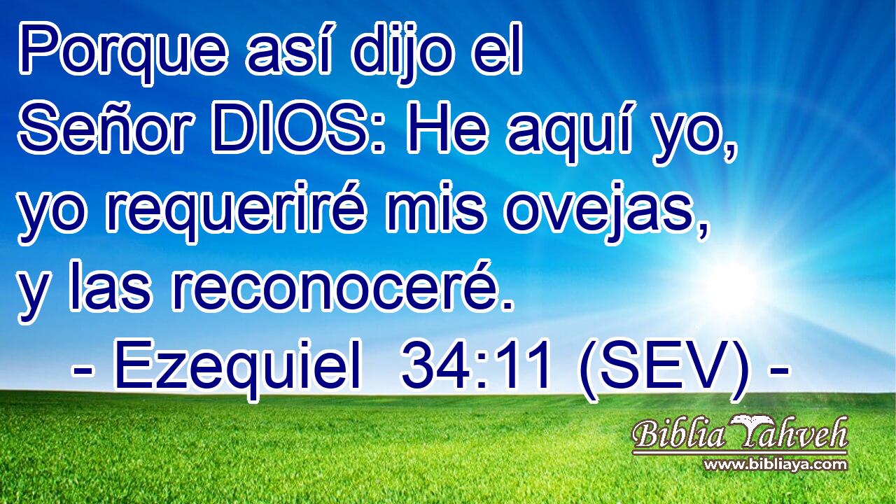 Porque así dijo el Señor DIOS: He aquí yo, yo requeriré mis ovejas, y las reconoceré.