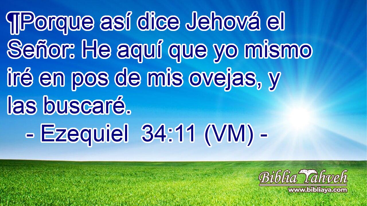  ¶Porque así dice Jehová el Señor: He aquí que yo mismo iré en pos de mis ovejas, y las buscaré. 