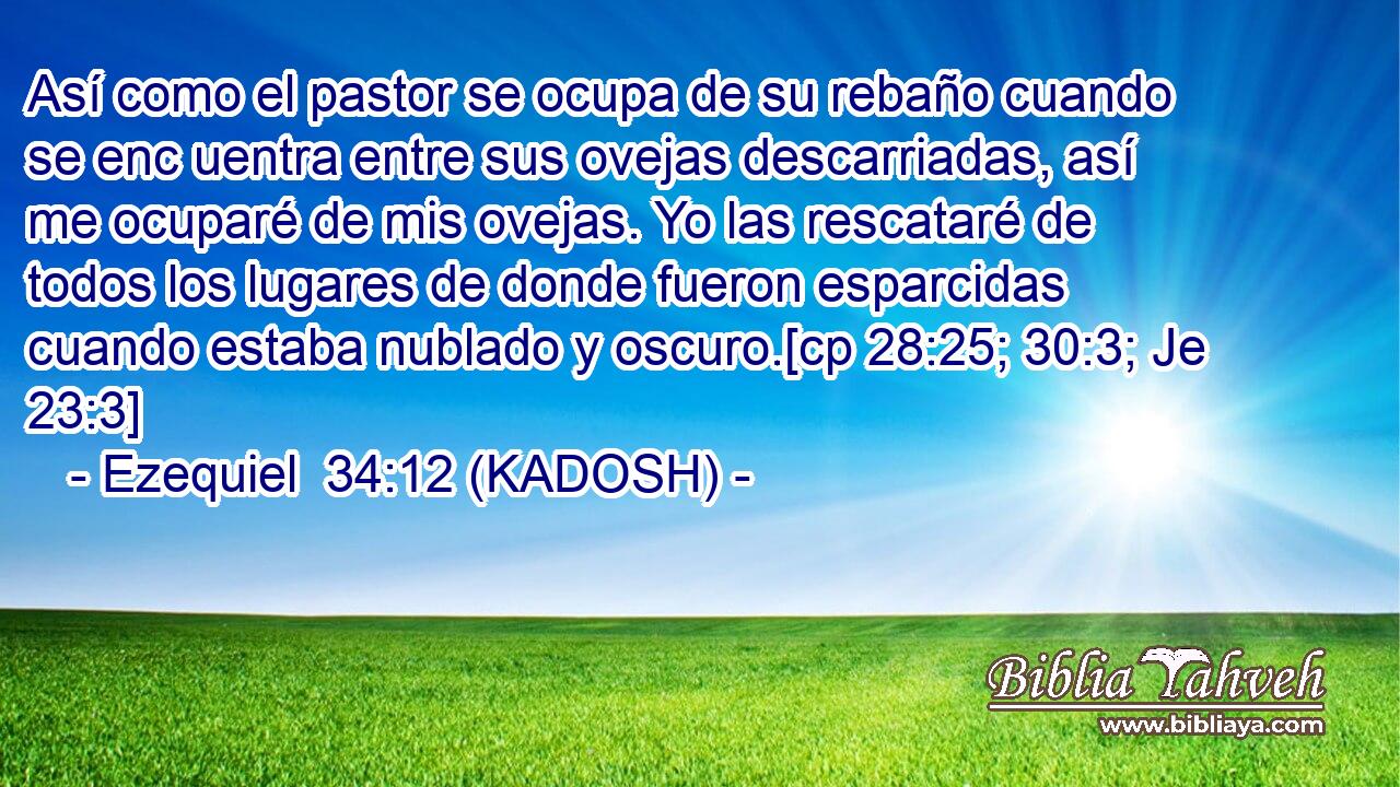  Así como el pastor se ocupa de su rebaño cuando se enc uentra entre sus ovejas descarriadas, así me ocuparé de mis ovejas. Yo las rescataré de todos los lugares de donde fueron esparcidas cuando estaba nublado y oscuro.[cp 28:25; 30:3; Je 23:3] 