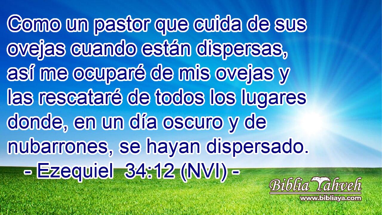  Como un pastor que cuida de sus ovejas cuando están dispersas, así me ocuparé de mis ovejas y las rescataré de todos los lugares donde, en un día oscuro y de nubarrones, se hayan dispersado. 