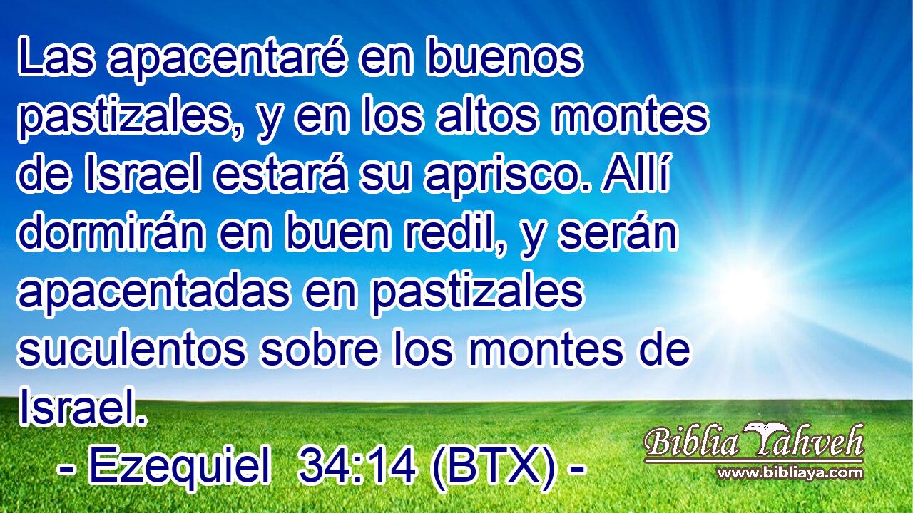 Las apacentaré en buenos pastizales, y en los altos montes de Israel estará su aprisco. Allí dormirán en buen redil, y serán apacentadas en pastizales suculentos sobre los montes de Israel.