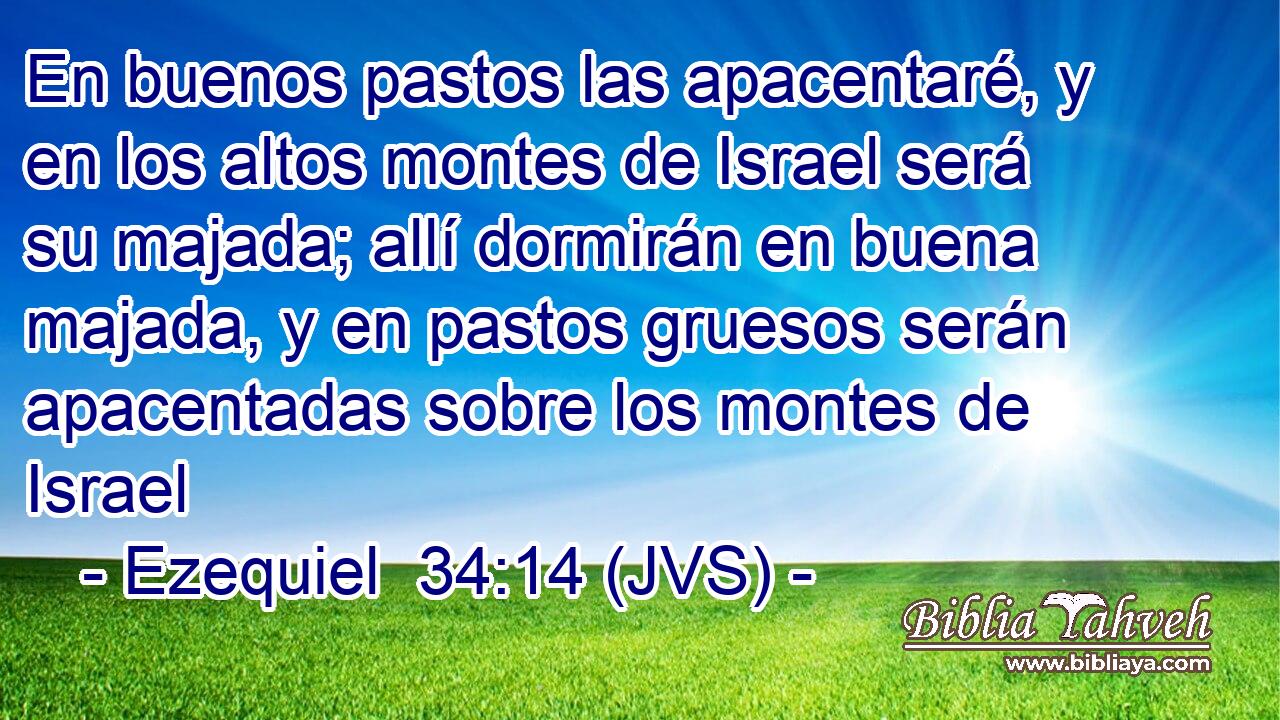 En buenos pastos las apacentaré, y en los altos montes de Israel será su majada; allí dormirán en buena majada, y en pastos gruesos serán apacentadas sobre los montes de Israel