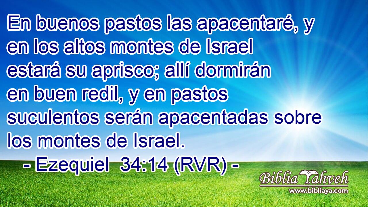 En buenos pastos las apacentaré, y en los altos montes de Israel estará su aprisco; allí dormirán en buen redil, y en pastos suculentos serán apacentadas sobre los montes de Israel.