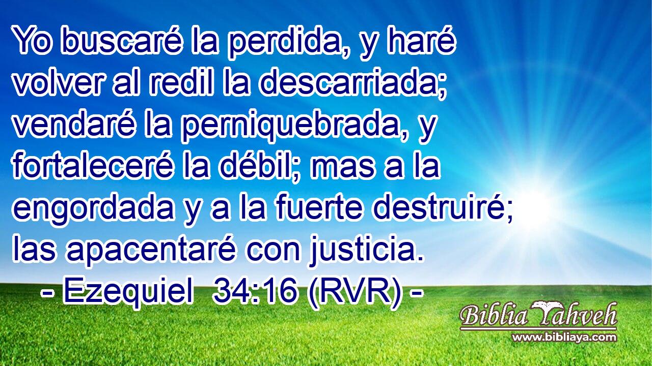 Yo buscaré la perdida, y haré volver al redil la descarriada; vendaré la perniquebrada, y fortaleceré la débil; mas a la engordada y a la fuerte destruiré; las apacentaré con justicia.