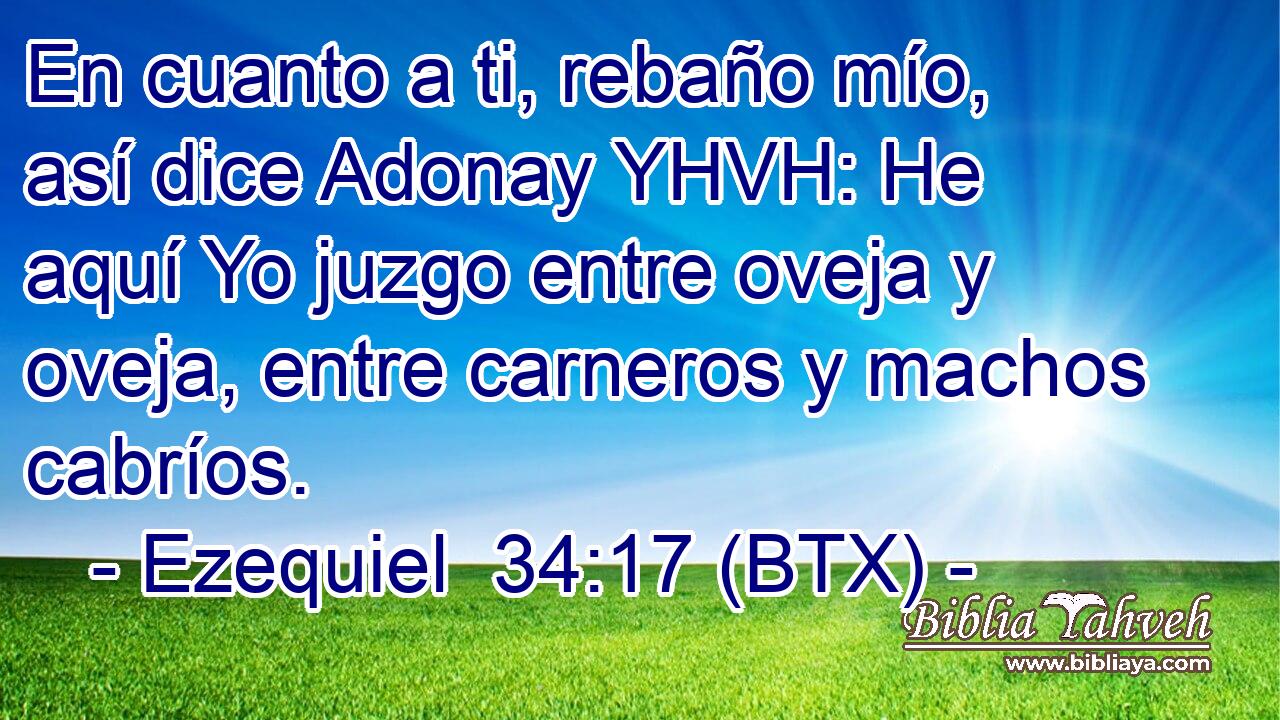 En cuanto a ti, rebaño mío, así dice Adonay YHVH: He aquí Yo juzgo entre oveja y oveja, entre carneros y machos cabríos.