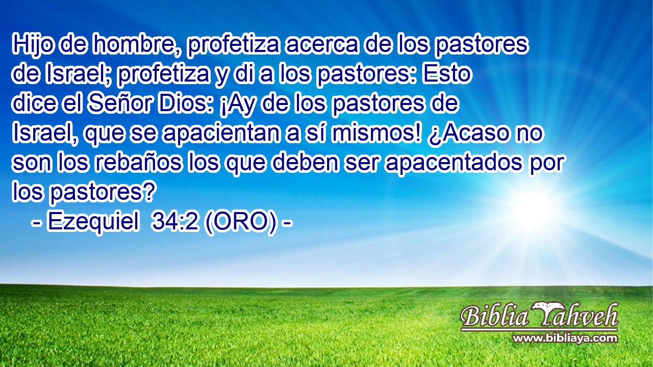  Hijo de hombre, profetiza acerca de los pastores de Israel; profetiza y di a los pastores: Esto dice el Señor Dios: ¡Ay de los pastores de Israel, que se apacientan a sí mismos! ¿Acaso no son los rebaños los que deben ser apacentados por los pastores? 