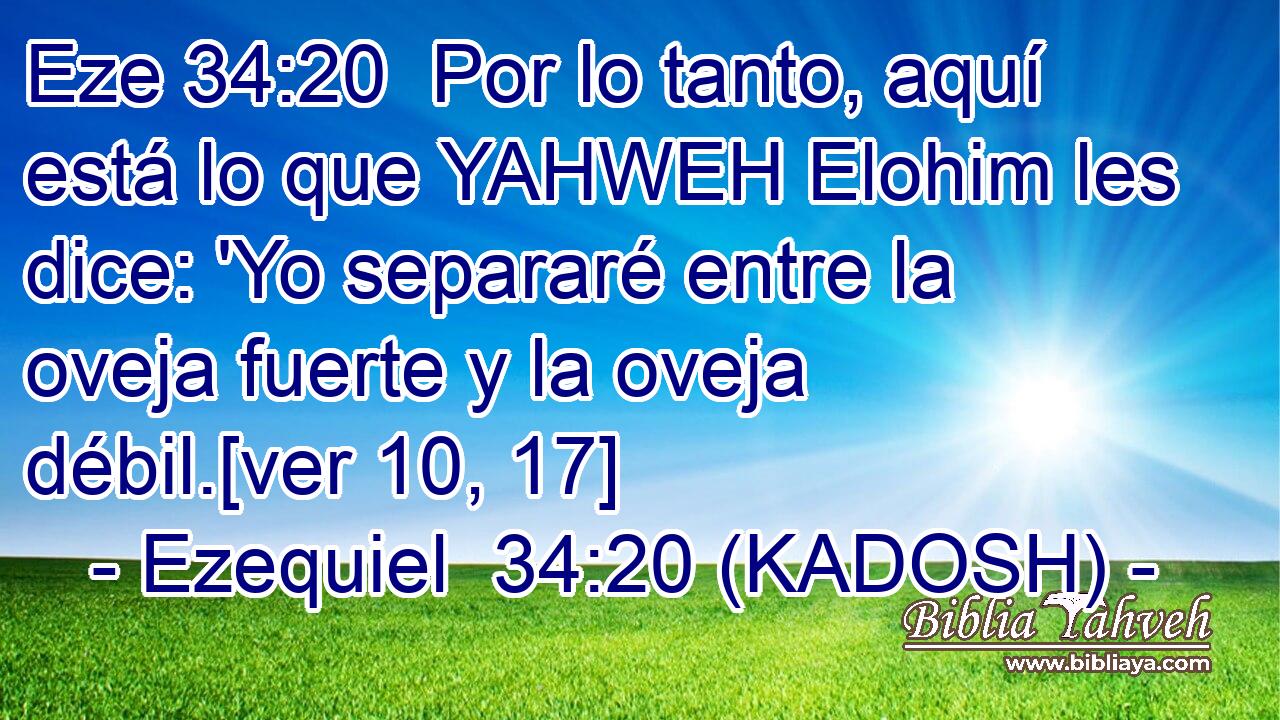  Por lo tanto, aquí está lo que YAHWEH Elohim les dice: 'Yo separaré entre la oveja fuerte y la oveja débil.[ver 10, 17] 