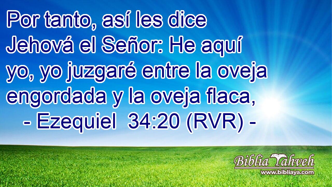 Por tanto, así les dice Jehová el Señor: He aquí yo, yo juzgaré entre la oveja engordada y la oveja flaca,