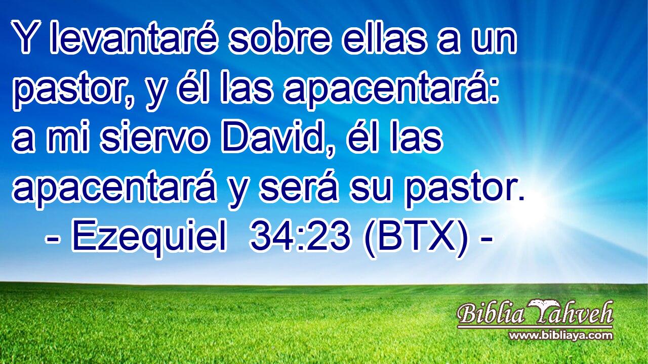 Y levantaré sobre ellas a un pastor, y él las apacentará: a mi siervo David, él las apacentará y será su pastor.