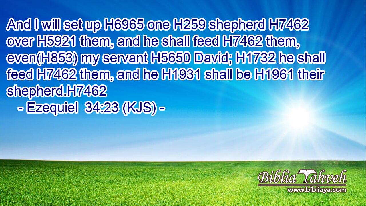 And I will set up H6965 one H259 shepherd H7462 over H5921 them, and he shall feed H7462 them, even(H853) my servant H5650 David; H1732 he shall feed H7462 them, and he H1931 shall be H1961 their shepherd.H7462