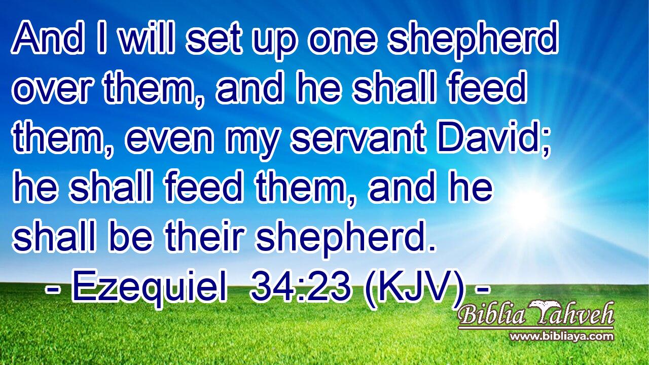 And I will set up one shepherd over them, and he shall feed them, even my servant David; he shall feed them, and he shall be their shepherd.